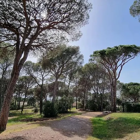 Apartamento Chez K&d Studioterra Saint-Raphaël
